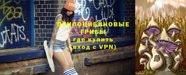 хмурый Липки