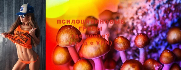 СК Лиски