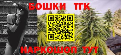 мет Кингисепп