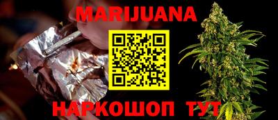 мет Кингисепп