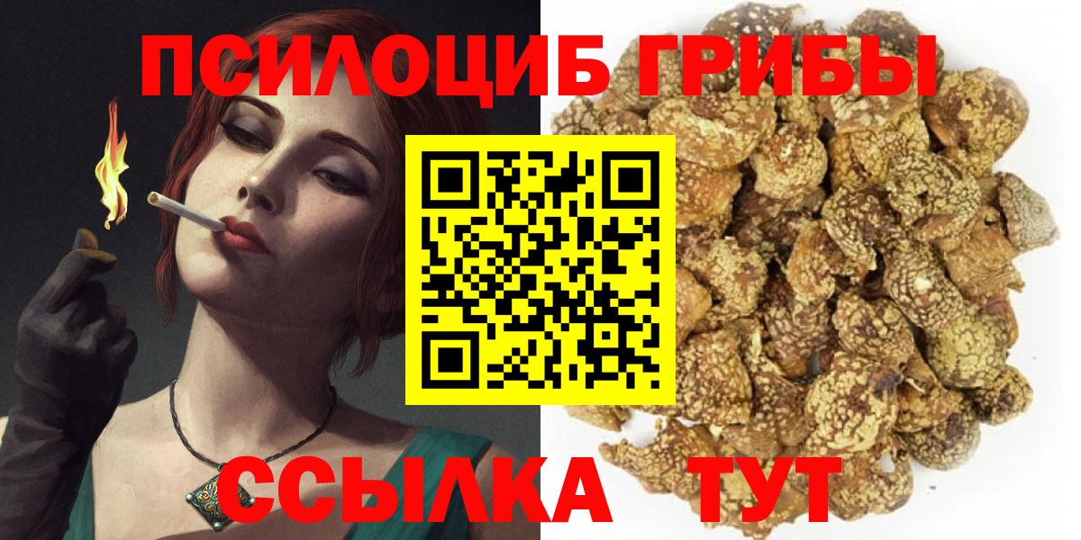 где купить наркоту  Псилоцибиновые грибы Psilocybine cubensis  Нижний Новгород  Псилоцибиновые грибы Psilocybine cubensis 