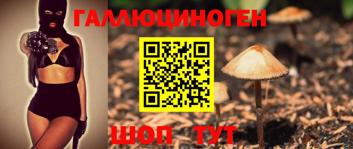 Нижний Новгород  Псилоцибиновые грибы ЛСД  Вход с VPN 