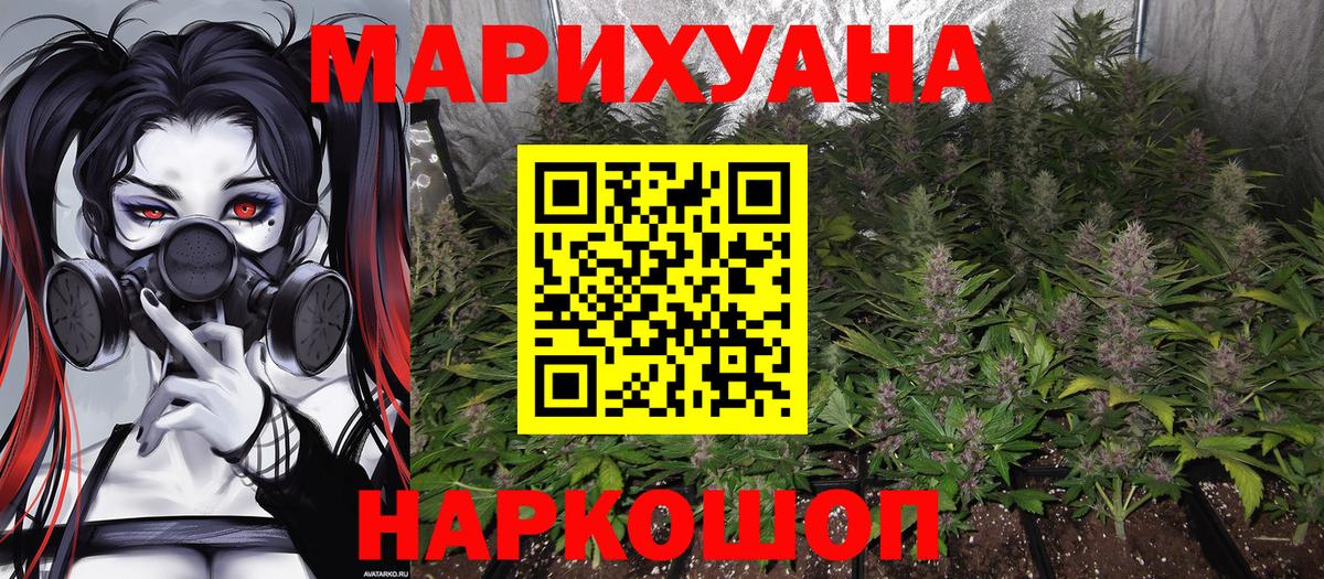 Бошки Шишки планчик  Каннабис SATIVA & INDICA  Каннабис OG Kush  Нижний Новгород  Вход с VPN  Марихуана SATIVA & INDICA 